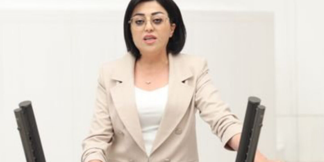 Şemdinli–Derecik Yolu TBMM Gündeminde: “Bölgenin Yaşam Hattı”