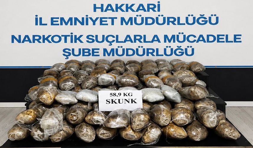 Hakkari’de Zehir Tacirlerine Ağır Darbe: 100 Parça Halinde Tam 59 Kilograma Yakın Skunk Ele Geçirildi!