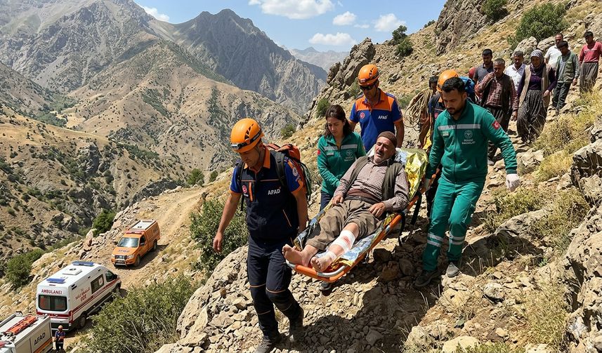 Hakkari Üzümcü Köyü Yaylasında Yılan Isıran Vatandaş Hastaneye Kaldırıldı