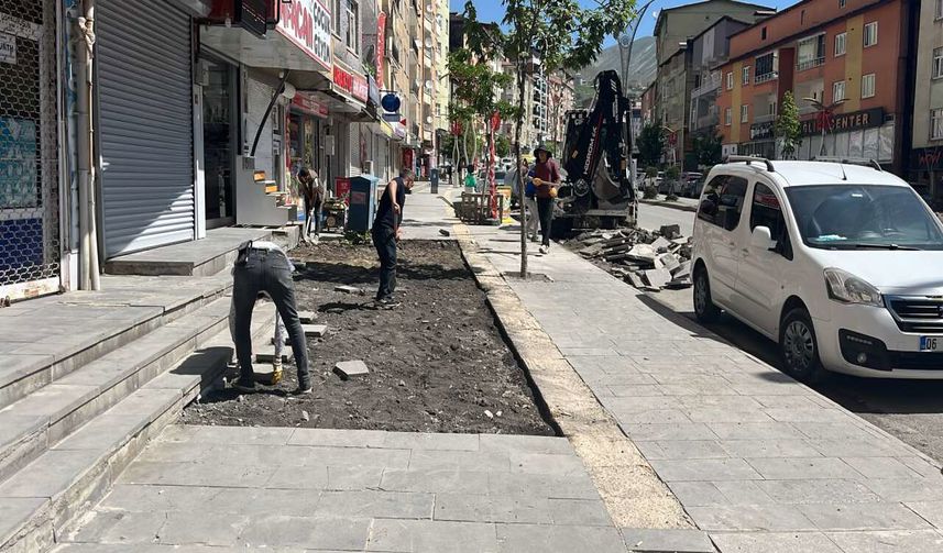 Hakkari Belediyesi Kışın Zarar Gören Yolları ve Kaldırımları Yeniliyor