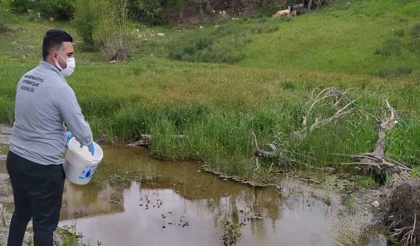 Hakkari Belediyesi Sivrisinek ve Karasineklerle Mücadeleye Başladı