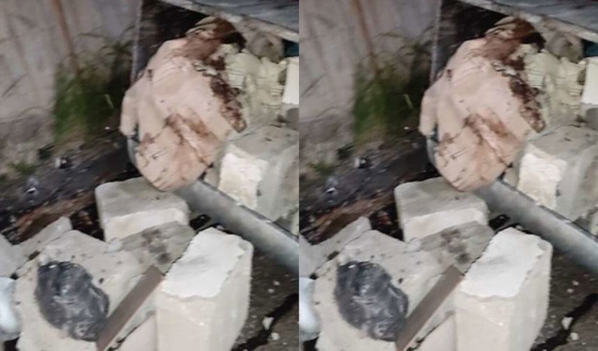 Hakkari’de Çöp Konteynırlarına Briket ve İnşaat Atığı Atılması Tepki Çekti