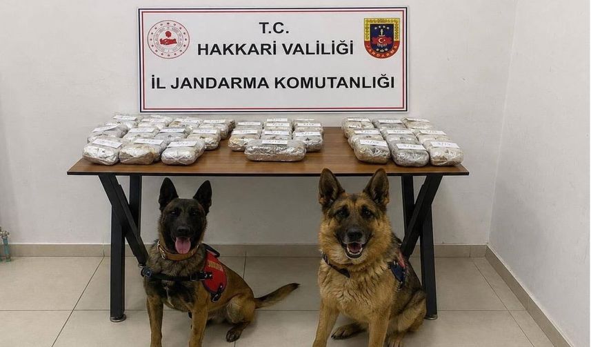 Hakkari’de Uyuşturucu Operasyonu: 21 Kilo Toz Esrar Ele Geçirildi