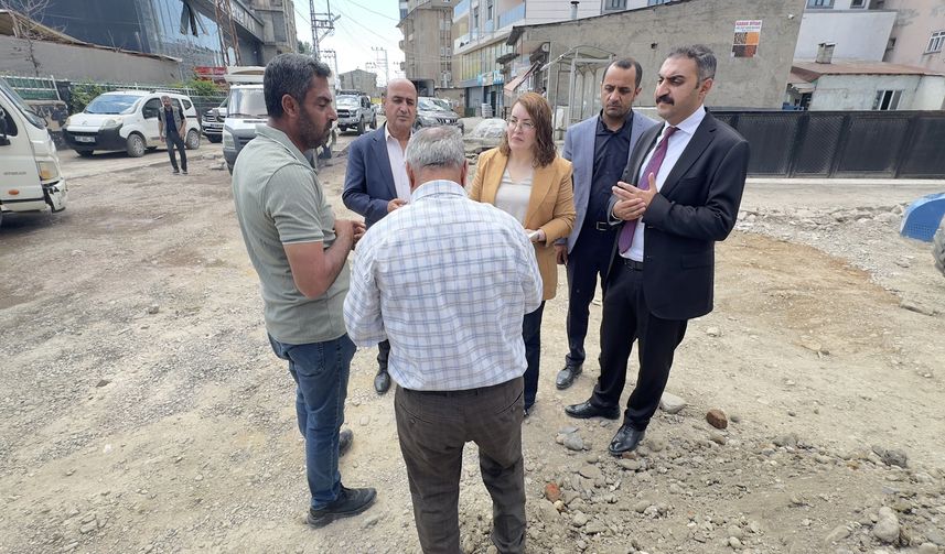 Yüksekova Belediyesi Eşbaşkanları Asfalt Çalışmalarını İnceledi