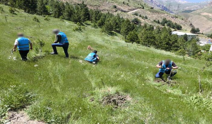 Denetimli Serbestlik Yükümlüleri Fidan Bakımına Katıldı
