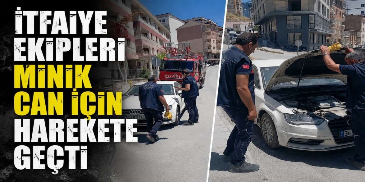 Hakkari’de Aracın Kaportasında Sıkışan Yavru Kedi Kurtarıldı