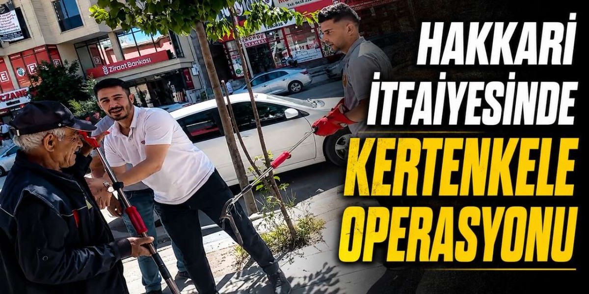 Hakkari’de Eczaneye Giren Kertenkele Güvenle Doğaya Bırakıldı