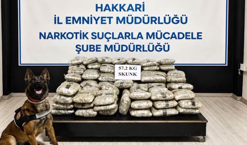 Hakkari'de Narkotik Operasyonu: 57 Kilo Skunk Ele Geçirildi