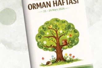 MEB’den Orman Haftası İçin Eğitim Takvimi: Miniklere Doğa Bilinci Aşılanacak