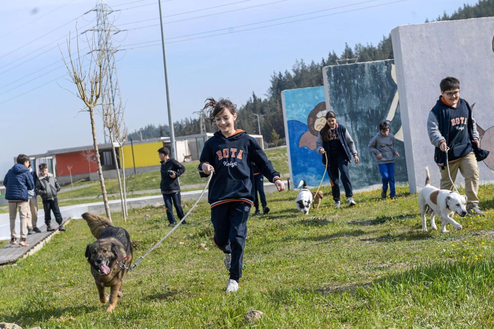 İzmir’den “Satın Alma, Sahiplen” Çağrısı: Bakımevlerindeki Canlar Yuva Bekliyor