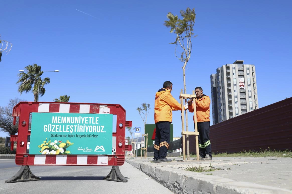 Mersin’de Ağaçlandırma Seferberliği: 13 İlçede Eş Zamanlı Başladı