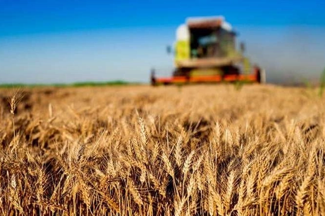 Kırsal Kalkınmaya Yeni Destek Paketi: 30 Milyon TL’ye Kadar Hibe İmkanı