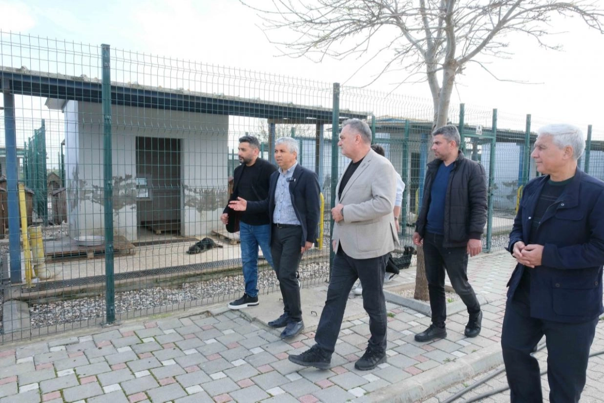 Adana’da Barınak İddialarına Yanıt: “Yavru Köpek Birbirini Yedi” Haberleri Gerçeği Yansıtmıyor