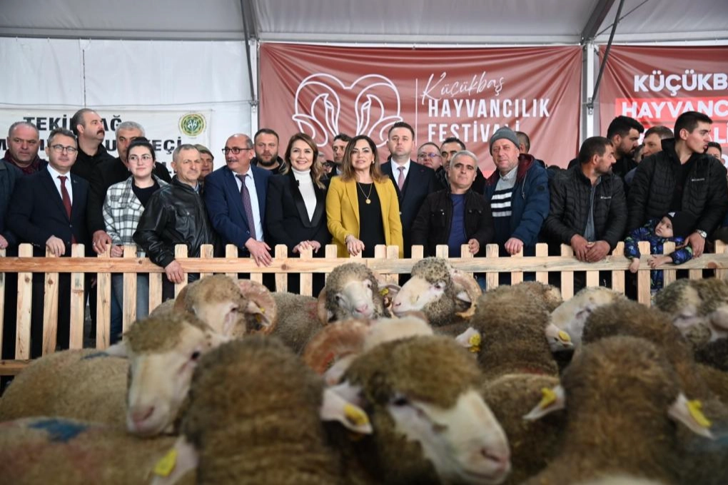 Trakya’da Bir İlk: Küçükbaş Hayvancılık Festivali Malkara’da Başladı