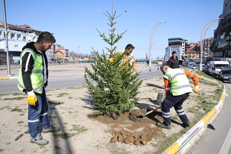 Zonguldak’ta Yeşil Alanlar Artıyor