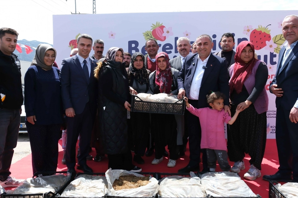 Adana’da Üreticiye Büyük Destek: 4 Milyon Çilek Fidesi Dağıtıldı