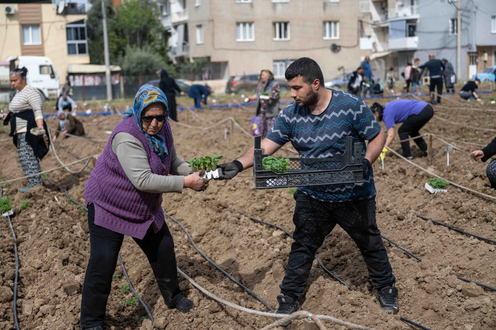 Bornova’da Kent Bostanlarında Yazlık Ekim Başladı