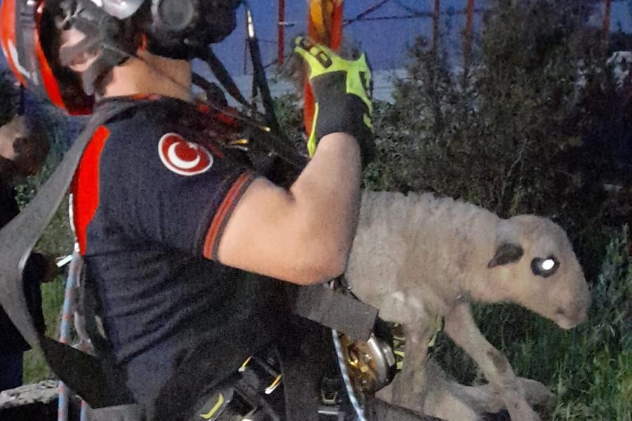 İzmir’de 20 metrelik kuyuya düşen kuzu itfaiye ekiplerince kurtarıldı