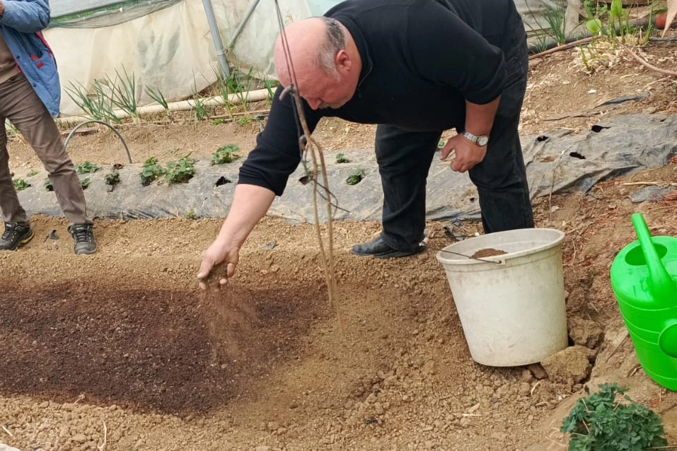 Pazaryeri’nde Tütün Üretimi Yükselişte: Çiftçinin Yeni Umudu Oldu