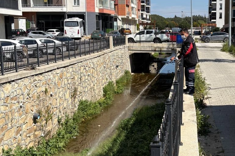 Çanakkale’de Sivrisineğe Karşı Erken Önlem: Larvasit Uygulamaları Sürüyor