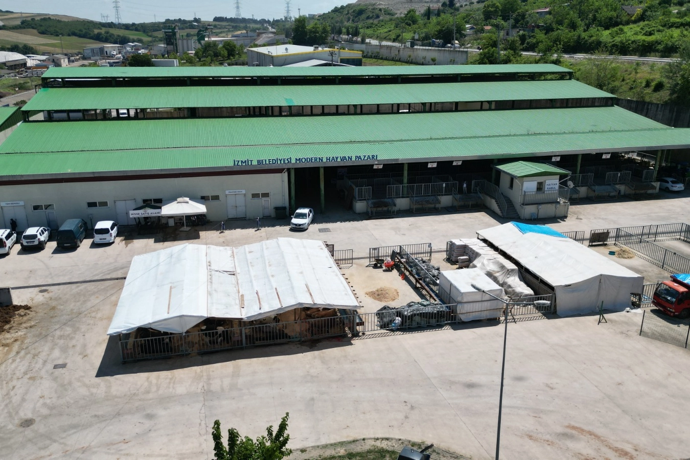 İzmit Belediyesi Kurban Satış Yerleri Tahsisine Başlıyor: İşte Başvuru Detayları
