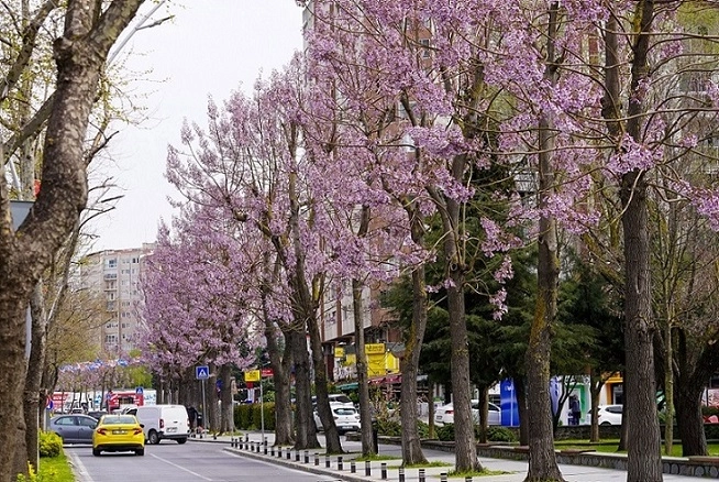 Beylikdüzü’nde Bahar Seferberliği: Park ve Bahçeler Yaza Hazırlanıyor