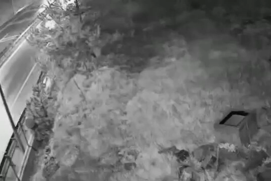 Kestel’de Film Gibi Operasyon: Jandarma 16 Bin Plakayı İnceleyerek Kasa Hırsızlarını Yakaladı