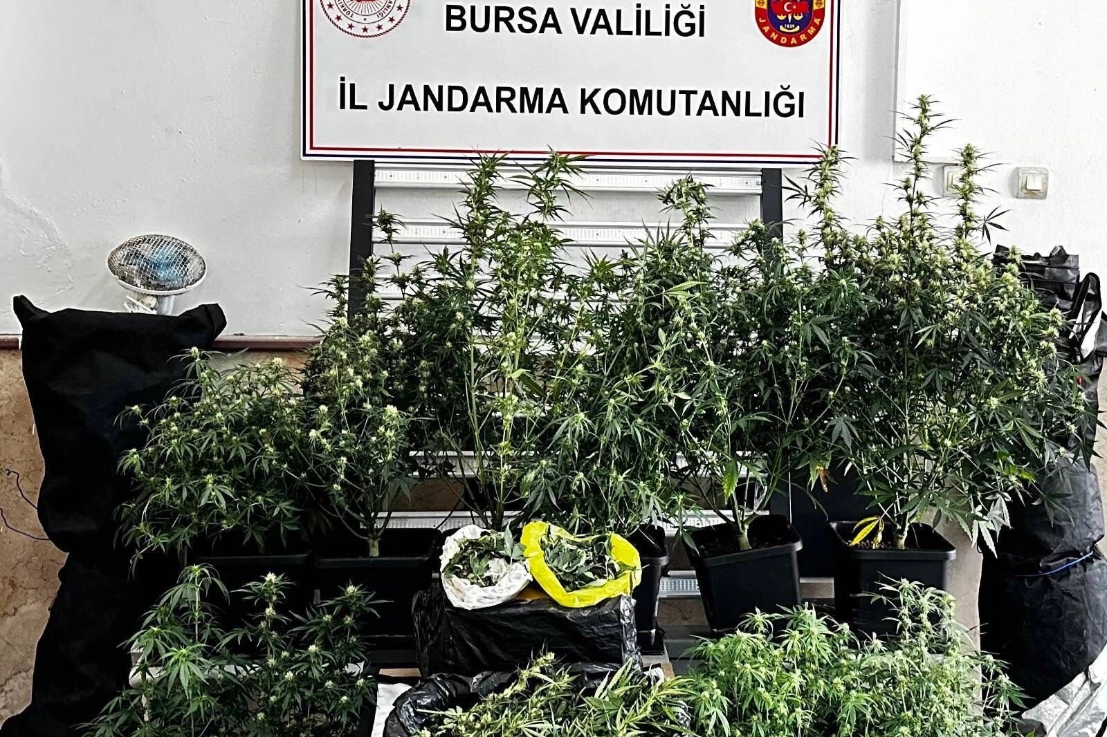 Bursa'da Jandarma'dan Uyuşturucuya Darbe: Osmangazi'de İklimlendirme Düzenekli Operasyon!