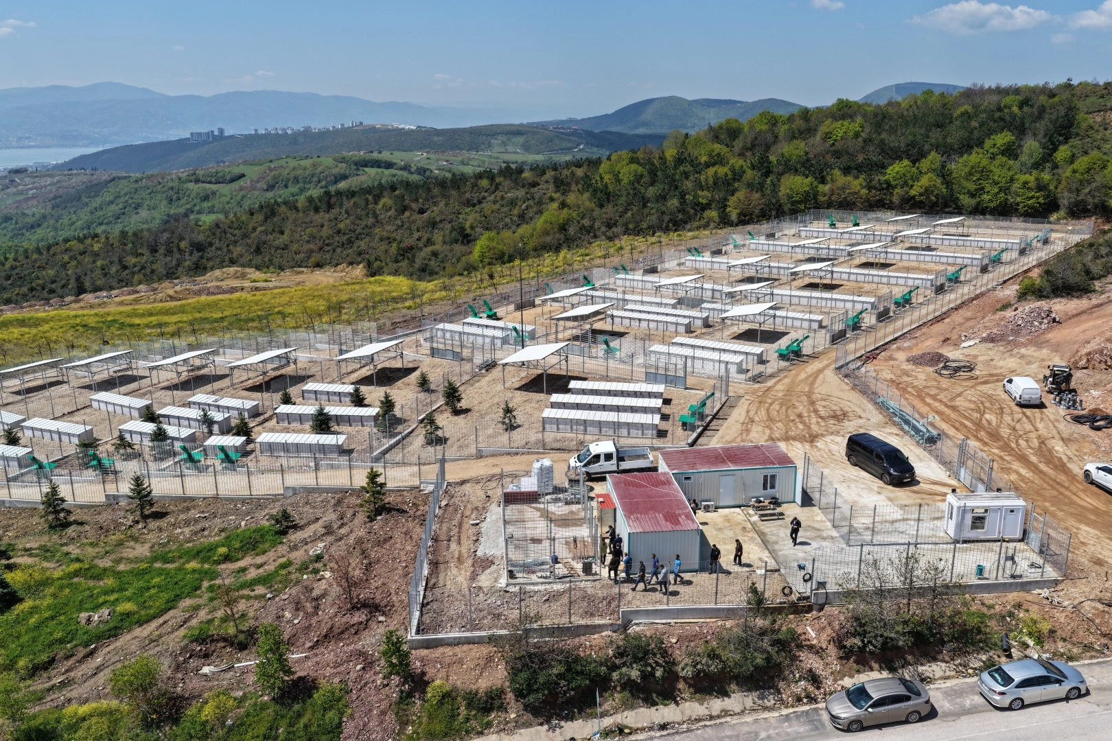Kocaeli’de Sokak Hayvanlarına Modern Yuva: Umuttepe Barınağı Hizmete Girdi