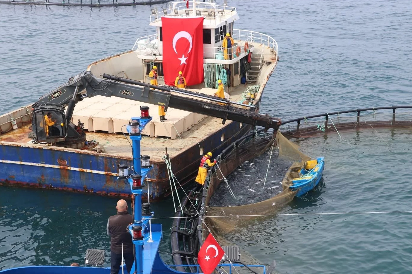 Karadeniz’in Gururu Türk Somonu: 8 Yılda Üretim Rekoru Kırıldı