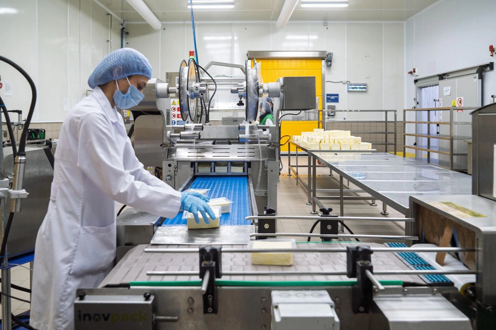 İzmir’de Süt Çarkları Halk İçin Dönüyor: Bayındır Süt İşleme Fabrikası Tam Kapasite Yayında
