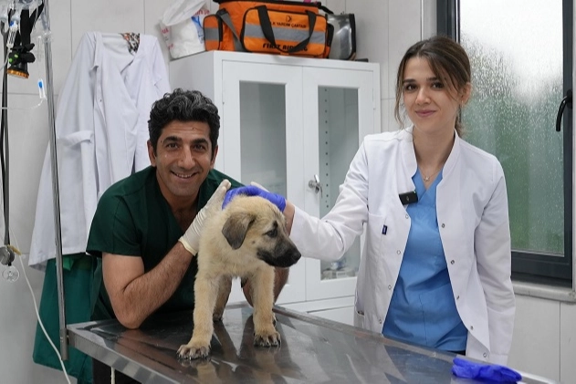 Gürsu’daki Hayvan Rehabilitasyon Merkezi Can Dostlara Umut Oluyor