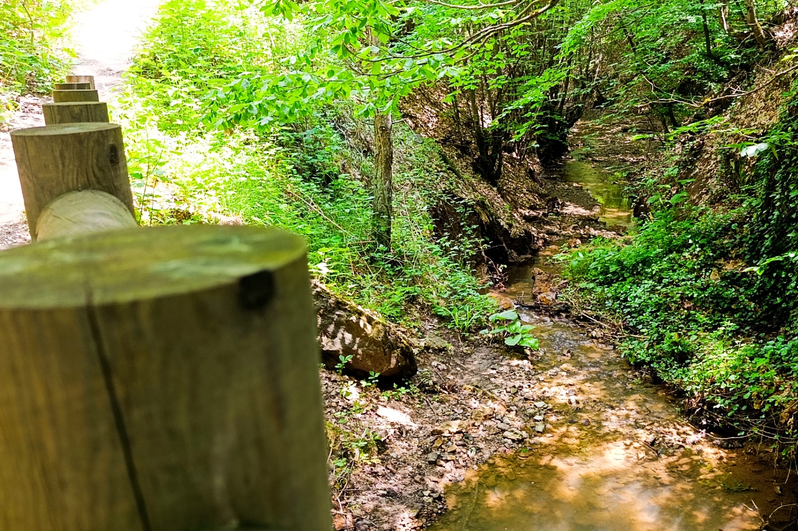 Küçükelmalı Tabiat Parkı Bölge Turizminin Gözdesi Olmayı Sürdürüyor