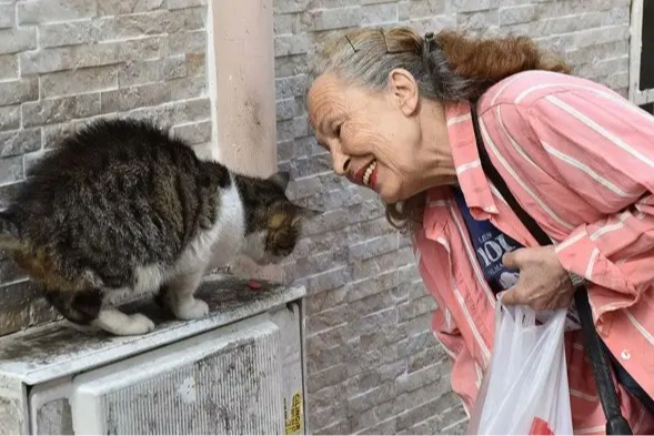 Hayvan Hakları Savunucusu “Panter Emel” Hayatını Kaybetti