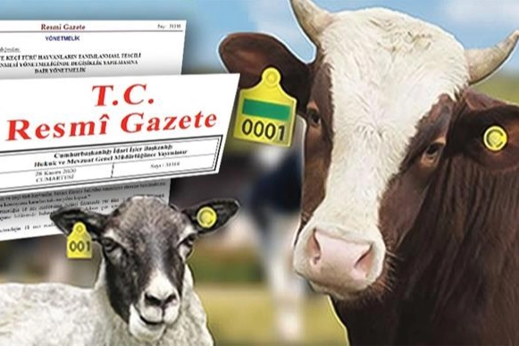 Tarım ve Orman Bakanlığı Hayvan Küpeleme Yönetmeliğini Güncelledi