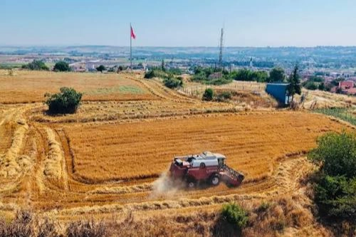 İklim Değişikliği Tarım ve Gıda Sektörünü Zorluyor: Su Yönetimi Kritik Hale Geldi